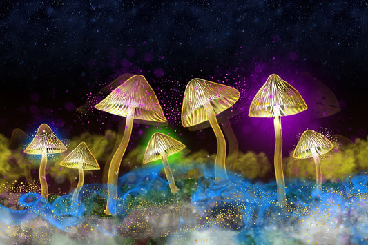 Are All Mushrooms Psychedelic? Demystifying the Fungal World